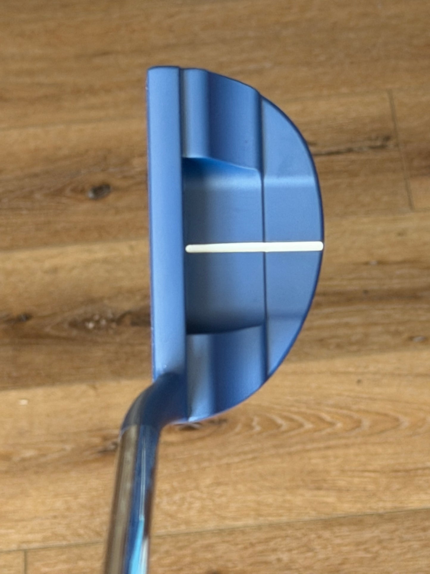 USA Del Mar Super Select 34” / leather