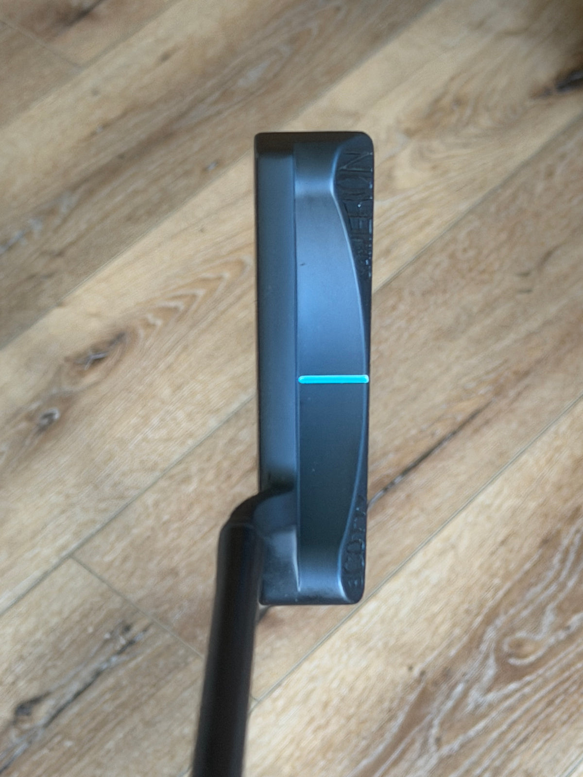 Scotty Cameron Select Laguna 1.5 - black/tiff 34.5” Holly Days