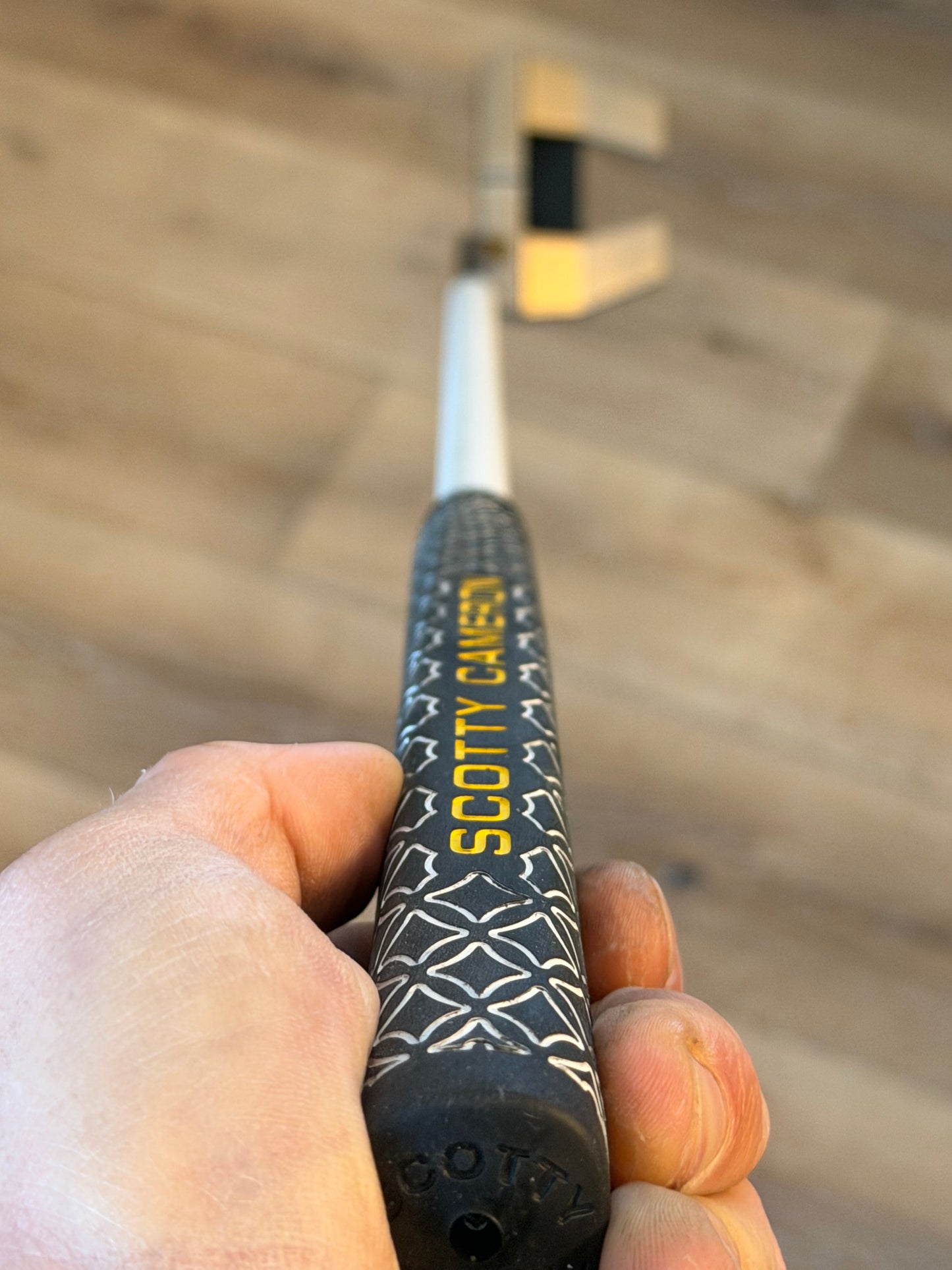 New phantom x5.5 - BGT Polar 34” - stock grip/cover