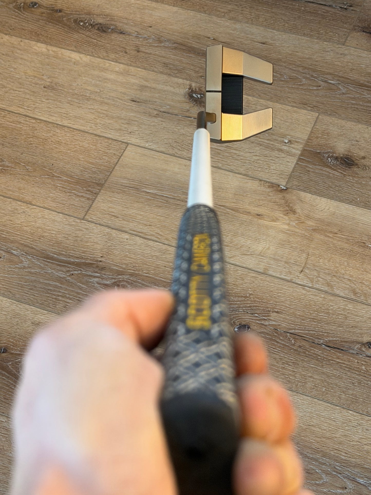 New phantom x5.5 - BGT Polar 34” - stock grip/cover