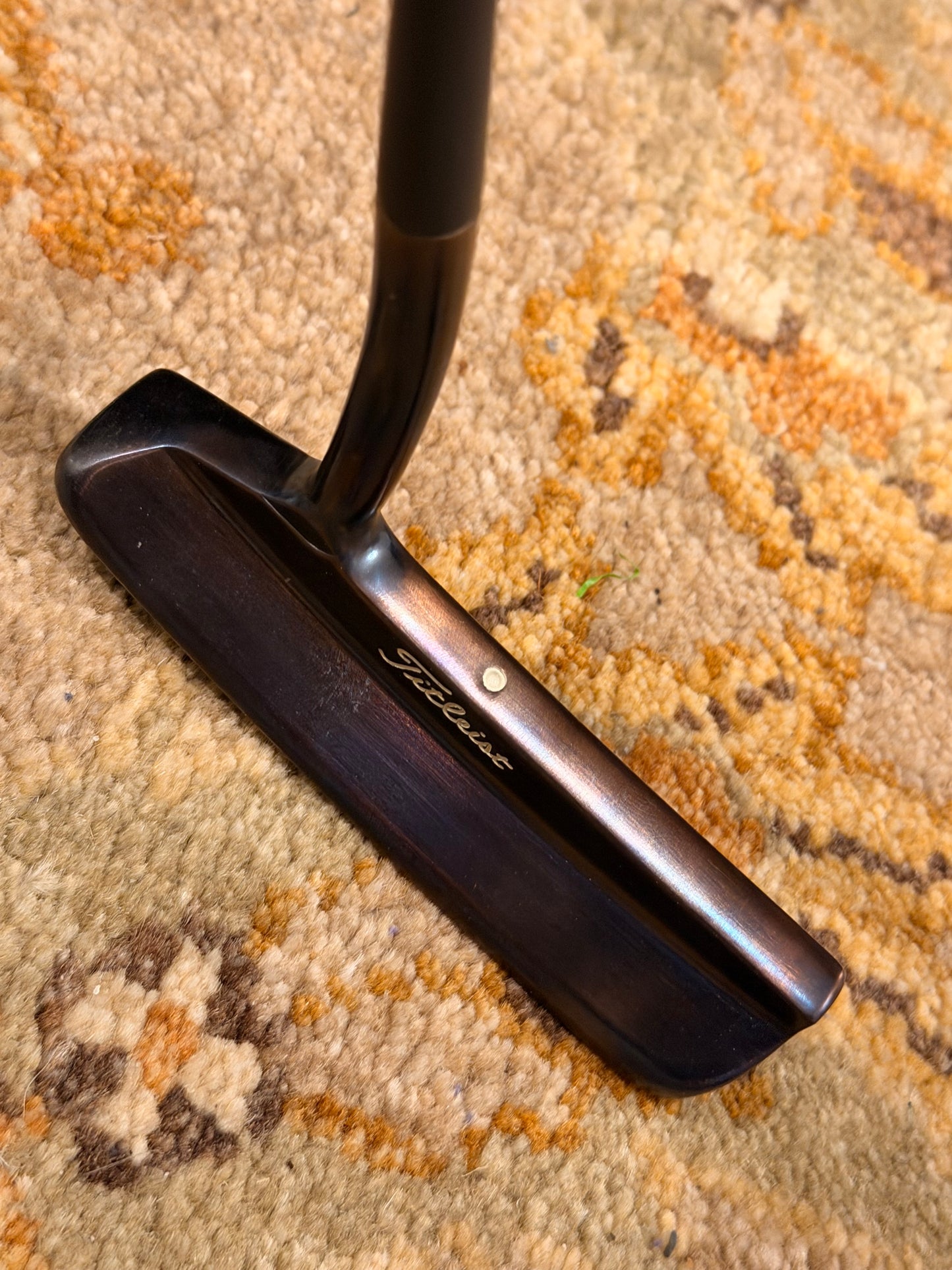Beautiful Studio Design #1 Oil Can - kangaroo leather - 2026 Cameron Club HC