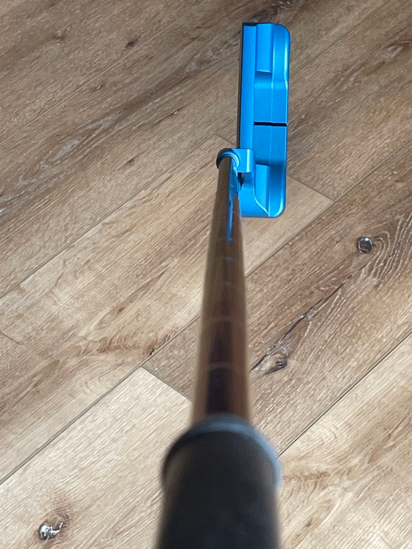 (2025) NEW Studio Style Newport 34.5" Anodized Blue